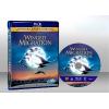 遷徙的鳥 Le peuple migrateur/The Travelling Birds (2001) 藍光25G