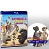 動物總動員 Die Konferenz der Tiere/Animals United (2010) 藍光25G