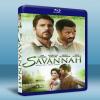 薩瓦納 Savannah (2013) 藍光25G