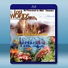 IMAX 失落的世界Lost Worlds +海底世界Under The Sea  藍光影片25G