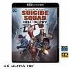 (優惠4K UHD) 自殺突擊隊：嚴厲懲罰/自殺小隊：嚴厲懲罰 Suicide Squad: Hell to Pay (2018) 4KUHD