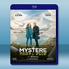 亨利先生的秘密 Le mystere Henri Pick (2019) 藍光25G