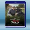  紅項圈 Le collier rouge (2018) 藍光25G