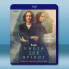 橋下殺人事件 Under the Bridge(2024)藍...