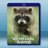 動物的秘密生活 The Secret Lives of An...