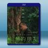 你是不會當樹嗎/寂靜的朋友 Stiller Freund(2...